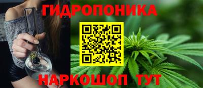 не бодяженный Камышлов