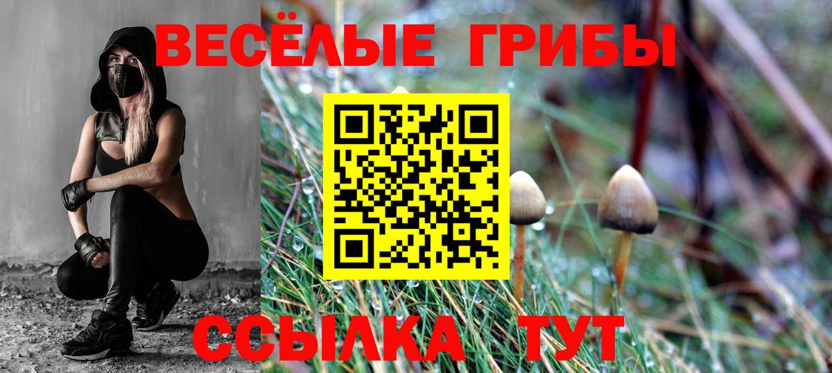 Котовск  Псилоцибиновые грибы Psilocybine cubensis  Вход с VPN 